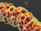 nanoparticles into filaments