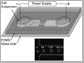microfluidic electroporative flow cytometer
