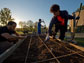 people working on a garden