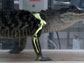News thumbnail of alligator