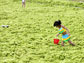 a beach in China covered in green algae