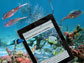 an iPad under water with fish