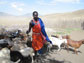 a Maasai man with his goats in Tanzania