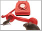 mice and telephone