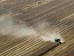 dust rises from a Midwest cornfield