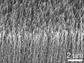 carbon nanotube film