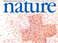 cover of Nature magazine