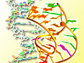 nucleic acid structure