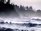 photo of waves and a rocky, tree covered coast