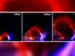 plasma loops created in the lab