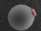 electron micrograph of polymer bead