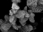 electron microscopy image of a pristine silica