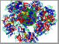 protein corona of firefly luciferase