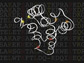 structure of a ligand binding domain of protein