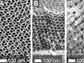 micrographs of resin