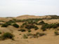dry sand dunes