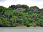 a lowland tropical forest in the Panama Canal