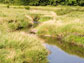 a field and stream