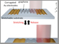 stretchable photodetector with photoresponsivity
