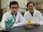 researchers show their new sugar battery