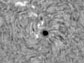 sunspot 11092