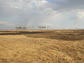 a tidal marsh in Chesapeake Bay