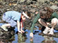 tide pool field work