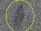 a coated titanium dioxide nanocrystal
