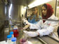 Toloo Taghian in a cell culture lab