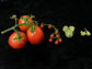 domestic tomatoes