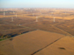 a large wind farm