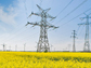 transmission wires running through a windmill farm