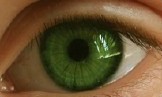 close-up photo of green, human eye