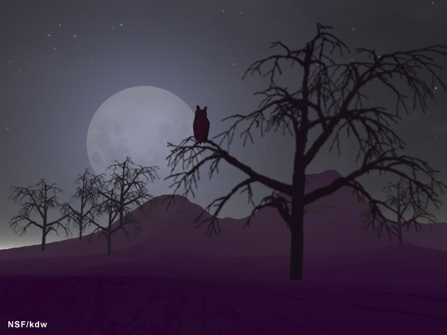 moon and owl