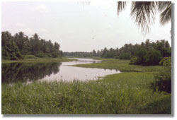 Photo of River scene