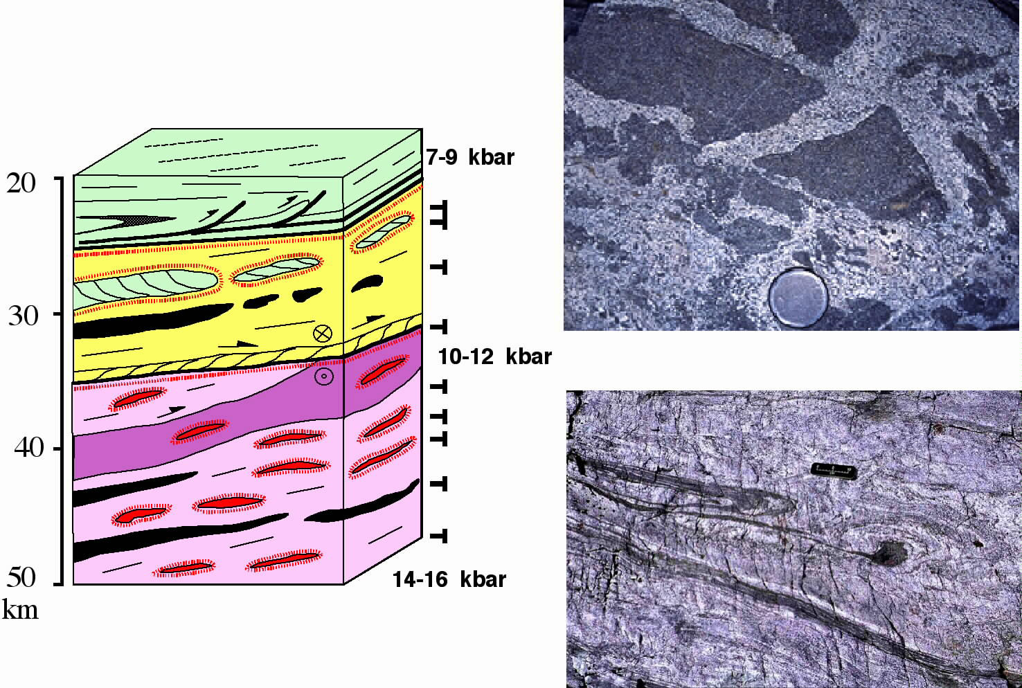 rock from Early Cretaceous continental crust
