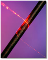 light-conducting silica nanowire wraps a beam of light
