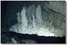 Photo of carbonate growth on flange