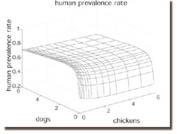 Graph of human prevalence rate