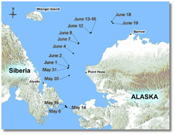 NSF graphic of Alaska seal migration