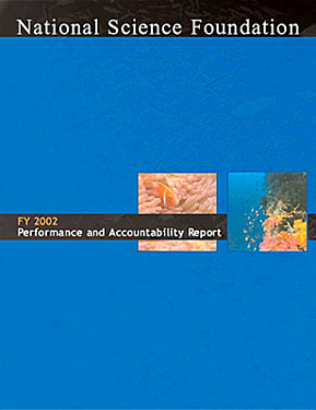 Cover of 2002 Performance & Accountability Report