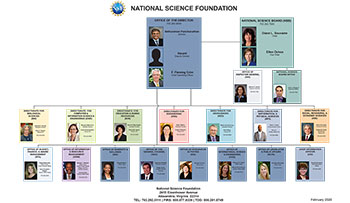NSF Organizational Chart