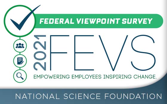 FEVS 2021 Logo