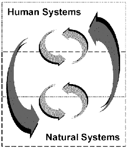 CNH Diagram