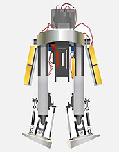 Massachusetts Institute of Technology Bipedal Walking Robot