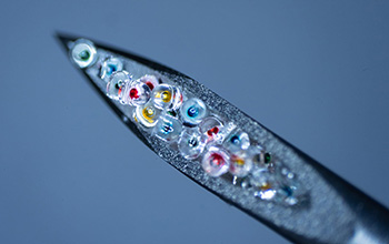 Microcylinders containing colored dye shown inside the narrow opening of a hypodermic needle