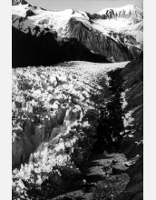 NSF supports studies on Variegated Glacier, in particular, what causes "surges"