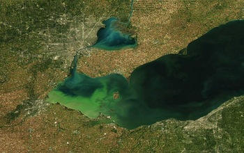 Satellite view of a widespread algae bloom in Lake Erie.