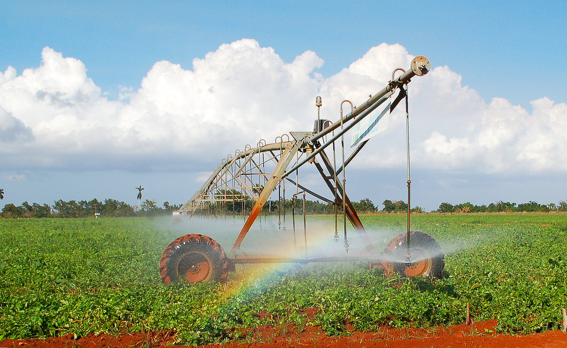 Circular irrigation system for agriculture; a rainbow forms as sun passes through water droplets.