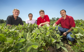 a group of 4 researchers in a field